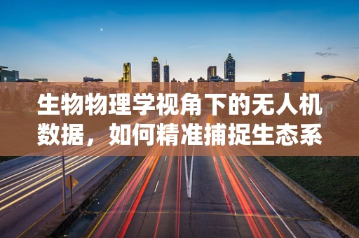 生物物理学视角下的无人机数据，如何精准捕捉生态系统的微妙变化？