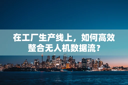 在工厂生产线上，如何高效整合无人机数据流？