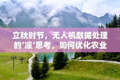 立秋时节，无人机数据处理的‘凉’思考，如何优化农业监测的精准度？