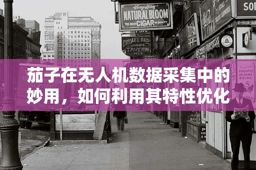 茄子在无人机数据采集中的妙用，如何利用其特性优化图像处理？