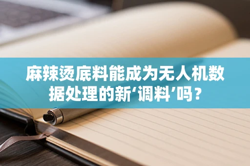 麻辣烫底料能成为无人机数据处理的新‘调料’吗？
