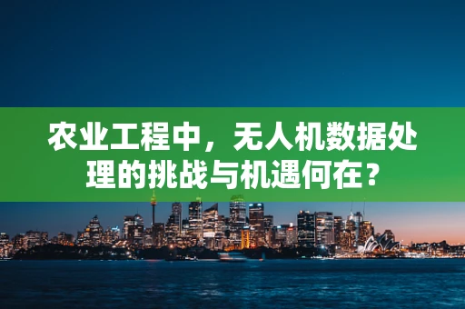 农业工程中，无人机数据处理的挑战与机遇何在？