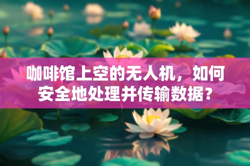 咖啡馆上空的无人机，如何安全地处理并传输数据？