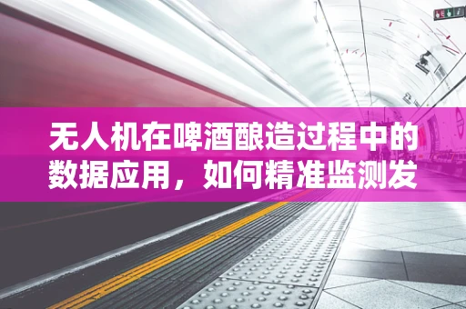 无人机在啤酒酿造过程中的数据应用，如何精准监测发酵环境？