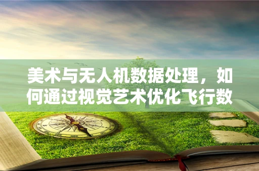 美术与无人机数据处理，如何通过视觉艺术优化飞行数据解析？