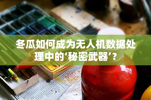 冬瓜如何成为无人机数据处理中的‘秘密武器’？