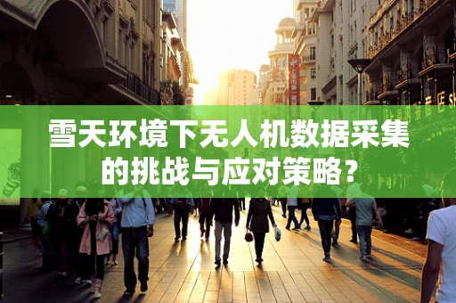 雪天环境下无人机数据采集的挑战与应对策略？