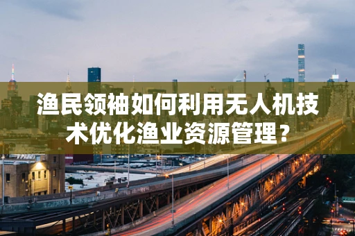 渔民领袖如何利用无人机技术优化渔业资源管理？