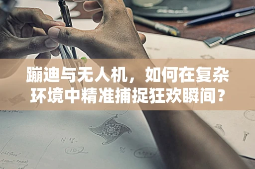 蹦迪与无人机，如何在复杂环境中精准捕捉狂欢瞬间？