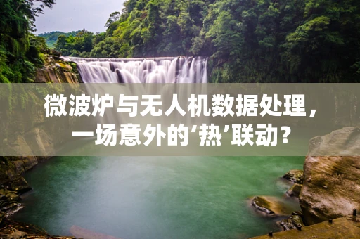微波炉与无人机数据处理，一场意外的‘热’联动？