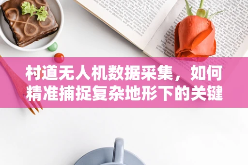 村道无人机数据采集，如何精准捕捉复杂地形下的关键信息？