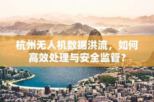 杭州无人机数据洪流，如何高效处理与安全监管？