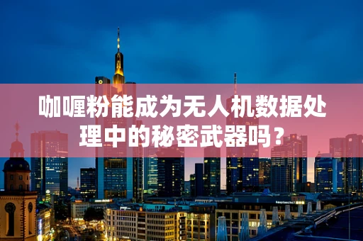 咖喱粉能成为无人机数据处理中的秘密武器吗？