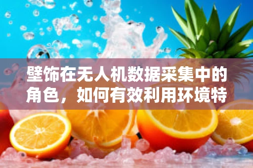 壁饰在无人机数据采集中的角色，如何有效利用环境特征提升数据精度？