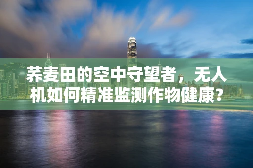 荞麦田的空中守望者，无人机如何精准监测作物健康？