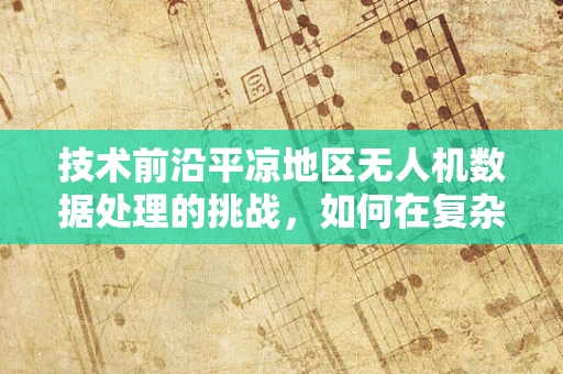 技术前沿平凉地区无人机数据处理的挑战，如何在复杂地形中优化飞行路径？