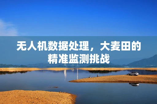 无人机数据处理，大麦田的精准监测挑战