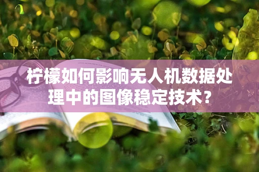 柠檬如何影响无人机数据处理中的图像稳定技术？