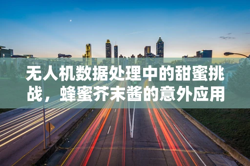 无人机数据处理中的甜蜜挑战，蜂蜜芥末酱的意外应用？