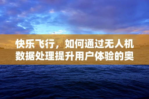 快乐飞行，如何通过无人机数据处理提升用户体验的奥秘？