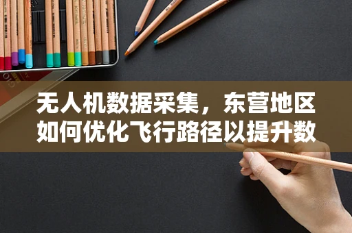 无人机数据采集，东营地区如何优化飞行路径以提升数据质量？