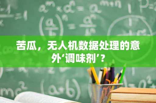 苦瓜，无人机数据处理的意外‘调味剂’？