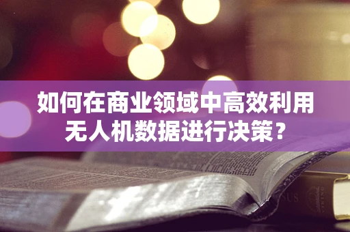 如何在商业领域中高效利用无人机数据进行决策？