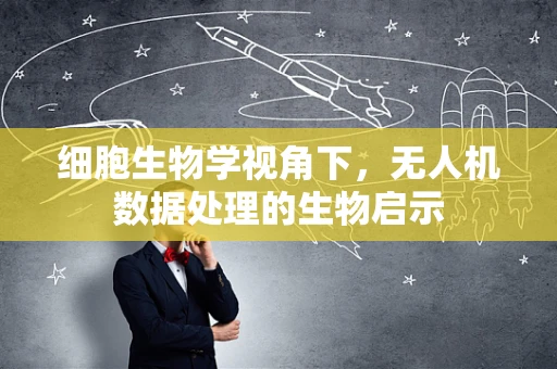 细胞生物学视角下，无人机数据处理的生物启示