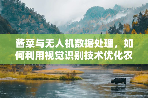 酱菜与无人机数据处理，如何利用视觉识别技术优化农业监测？