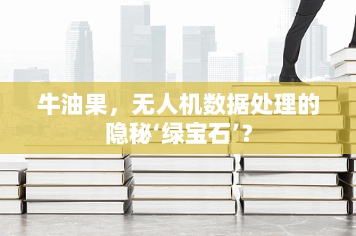 牛油果，无人机数据处理的隐秘‘绿宝石’？