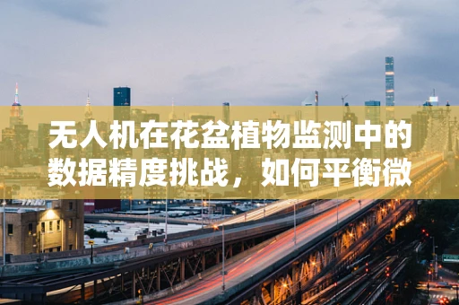 无人机在花盆植物监测中的数据精度挑战，如何平衡微小变化与飞行安全的精准捕捉？