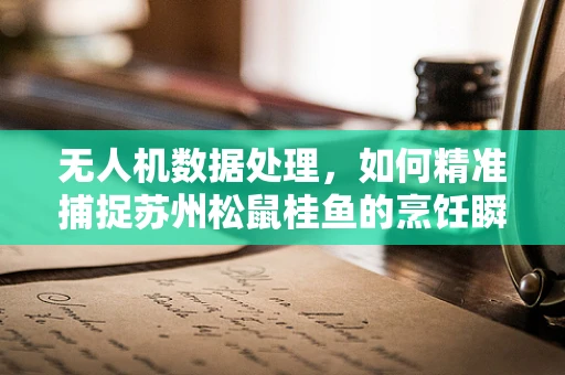 无人机数据处理，如何精准捕捉苏州松鼠桂鱼的烹饪瞬间？