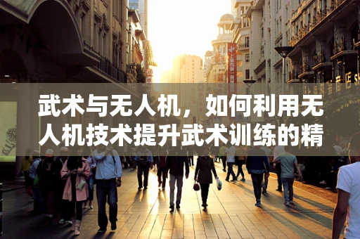 武术与无人机，如何利用无人机技术提升武术训练的精准度与效率？