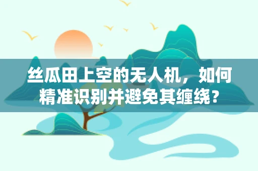 丝瓜田上空的无人机，如何精准识别并避免其缠绕？