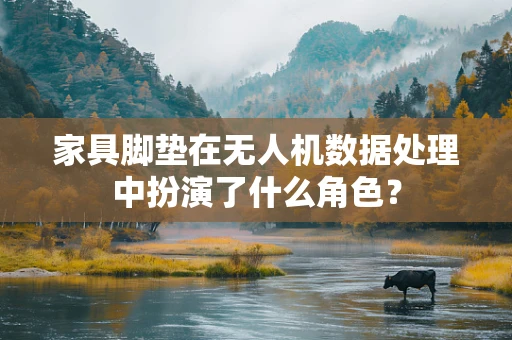 家具脚垫在无人机数据处理中扮演了什么角色？