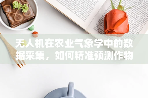 无人机在农业气象学中的数据采集，如何精准预测作物生长环境？
