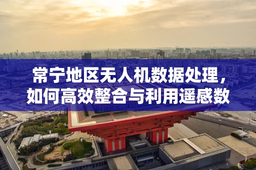 常宁地区无人机数据处理，如何高效整合与利用遥感数据？