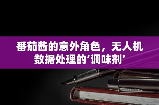 番茄酱的意外角色，无人机数据处理的‘调味剂’