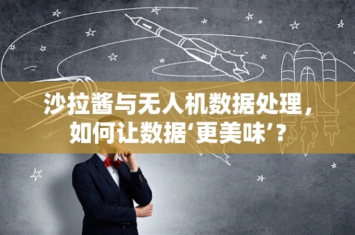 沙拉酱与无人机数据处理，如何让数据‘更美味’？