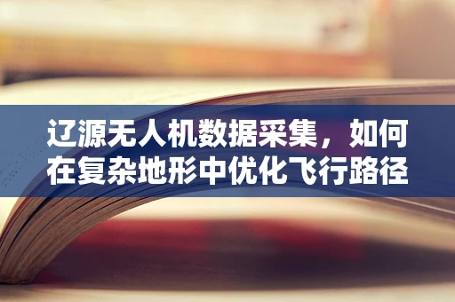 辽源无人机数据采集，如何在复杂地形中优化飞行路径与数据处理？