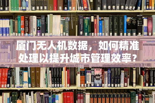 厦门无人机数据，如何精准处理以提升城市管理效率？
