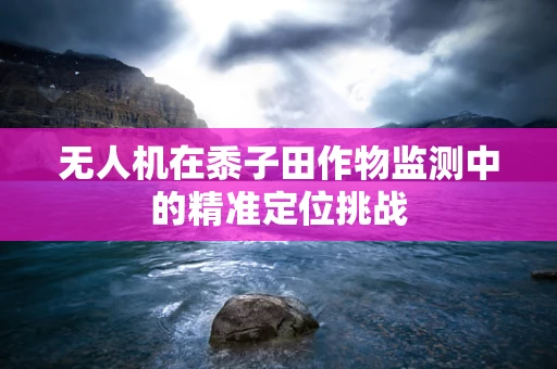 无人机在黍子田作物监测中的精准定位挑战