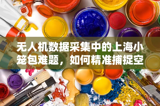 无人机数据采集中的上海小笼包难题，如何精准捕捉空中美食的细节？