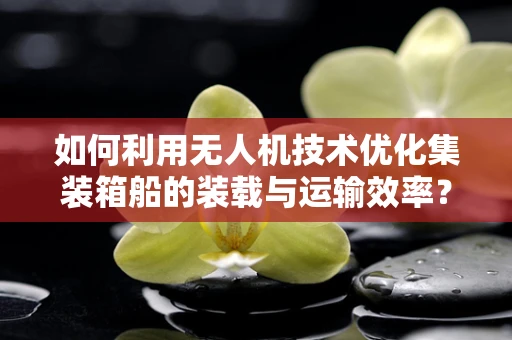 如何利用无人机技术优化集装箱船的装载与运输效率？