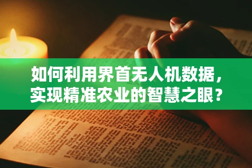 如何利用界首无人机数据，实现精准农业的智慧之眼？