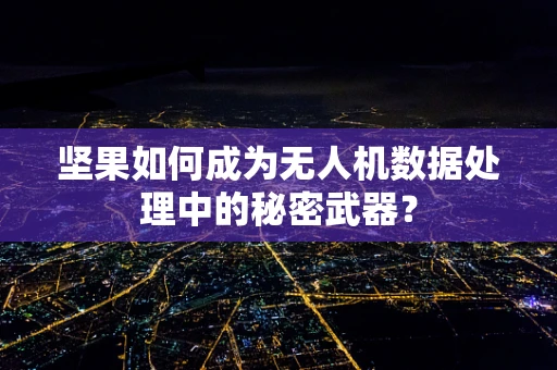 坚果如何成为无人机数据处理中的秘密武器？