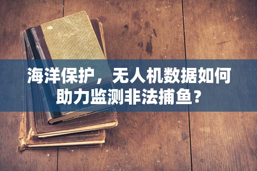 海洋保护，无人机数据如何助力监测非法捕鱼？