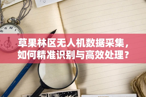 草果林区无人机数据采集，如何精准识别与高效处理？