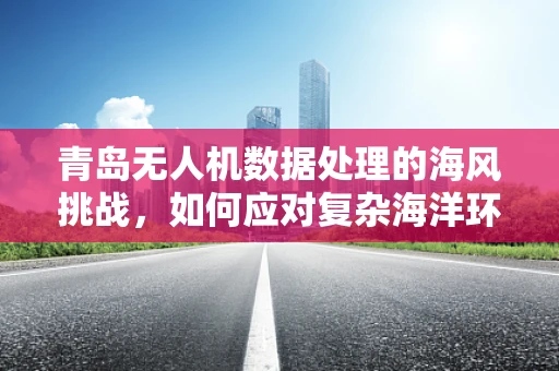 青岛无人机数据处理的海风挑战，如何应对复杂海洋环境？