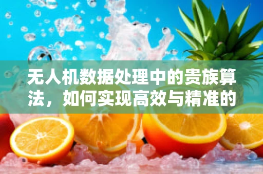 无人机数据处理中的贵族算法，如何实现高效与精准的平衡？